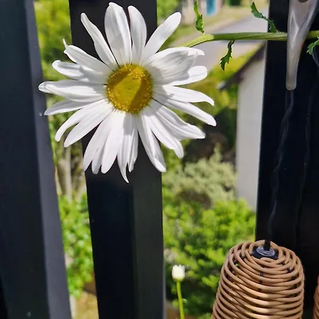 Balcon Centre